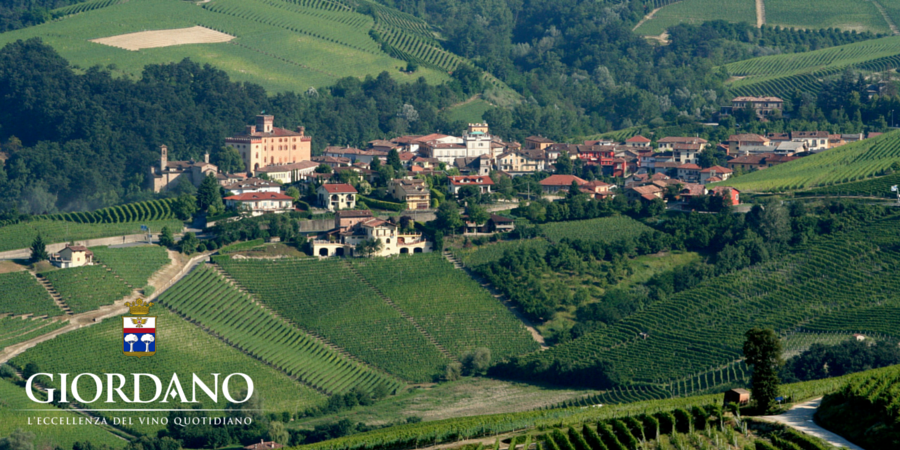 Collisioni 2016: al via il Progetto Vino  Collisioni 2016: al via il Progetto Vino