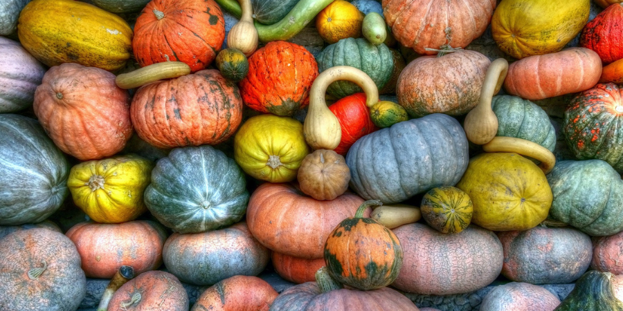 Le Origini di Halloween Le Origini di Halloween