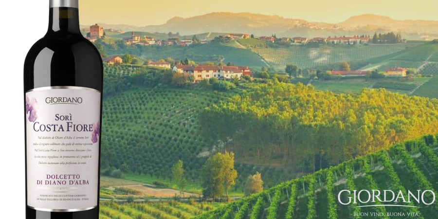 Dolcetto Costafiore, ultima annata di un gioiello piemontese Dolcetto Costafiore, ultima annata di un gioiello piemontese