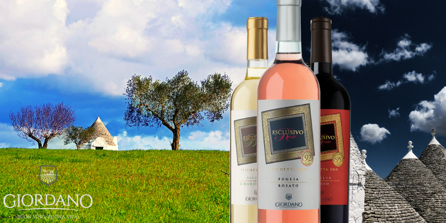 I migliori vini pugliesi? Scopri le eccellenze della regione! I migliori vini pugliesi? Scopri le eccellenze della regione!