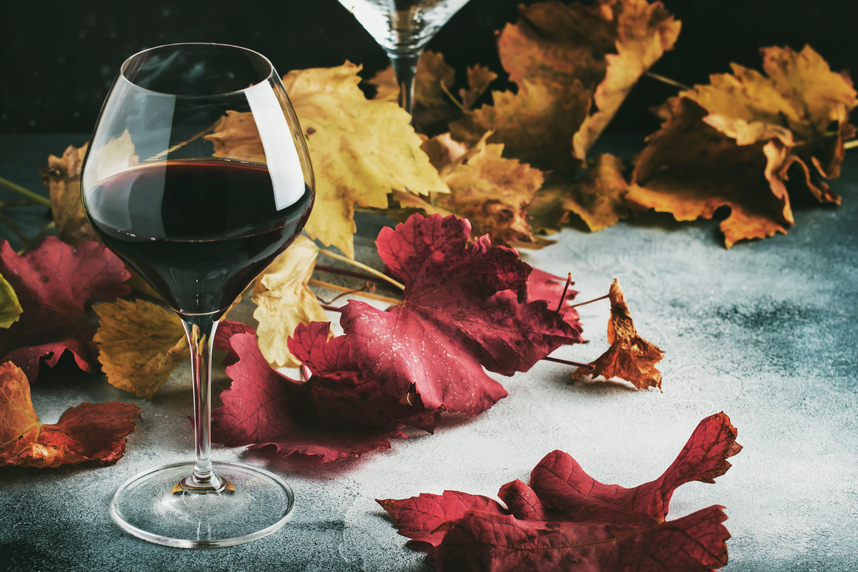 Vini autunnali: caratteristiche e come sceglierli Vini autunnali: caratteristiche e come sceglierli