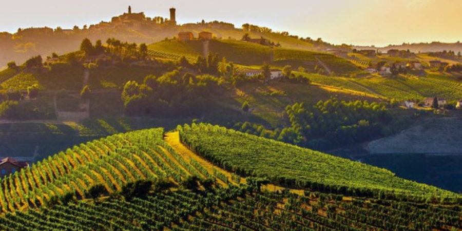 Langhe, Roero e Monferrato: un settembre in viaggio Langhe, Roero e Monferrato: un settembre in viaggio