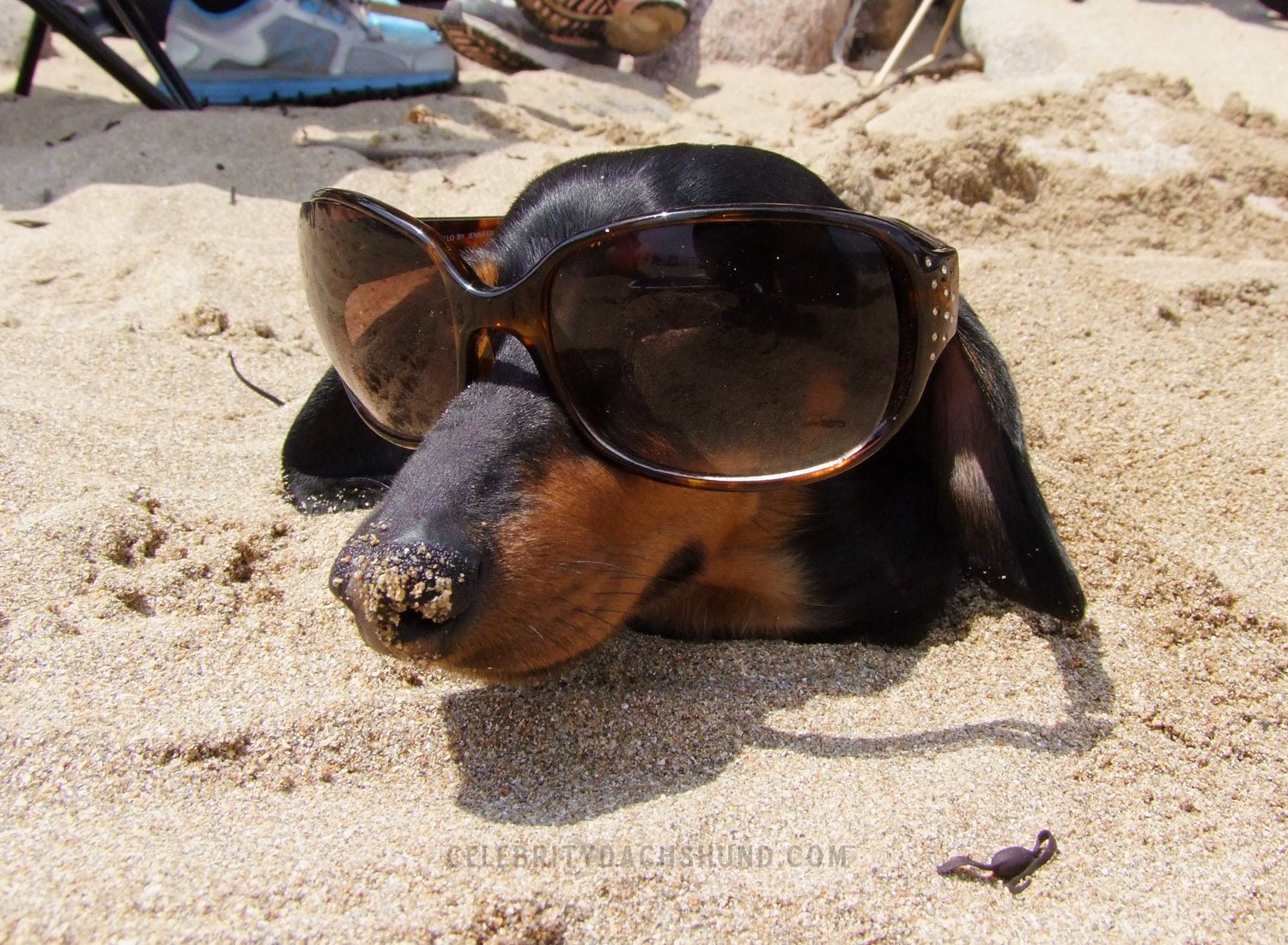 Vicino di ombrellone? Scopri che Tipo da Spiaggia è!  Vicino di ombrellone? Scopri che Tipo da Spiaggia è!