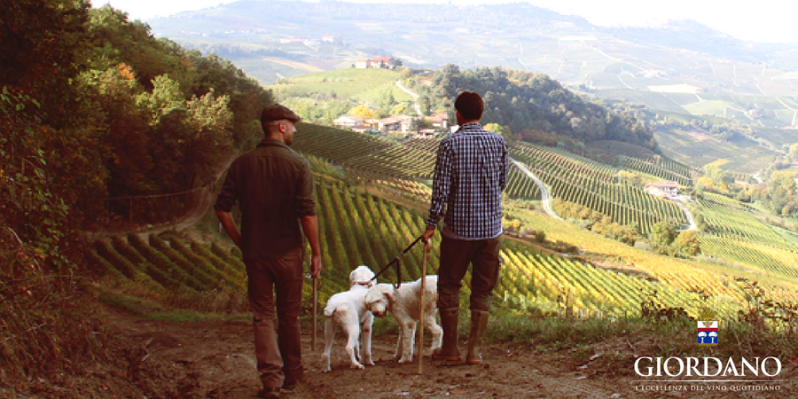 Save the truffle, una storia d'amore per il Piemonte Save the truffle, una storia d'amore per il Piemonte