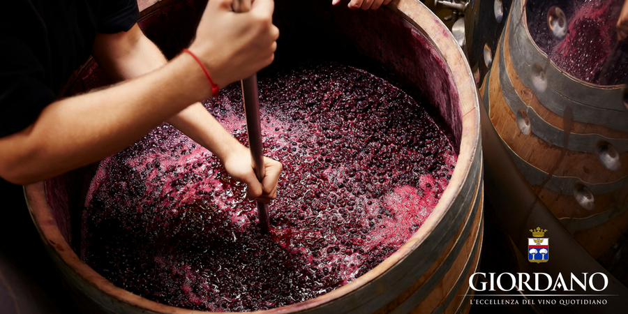 Come si fa il vino Come si fa il vino