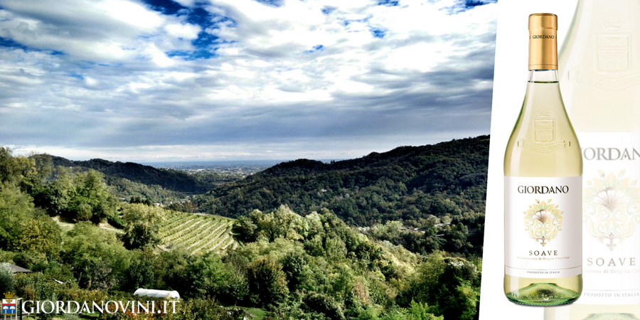 Soave DOC, vino bianco da scoprire Soave DOC, vino bianco da scoprire