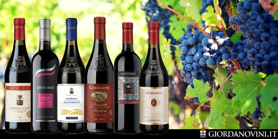 Barbera, vino dalle molte anime Barbera, vino dalle molte anime