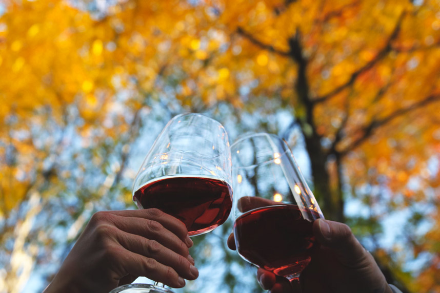Ritornano i rossi: 3 ricette che profumano d'autunno  Ritornano i rossi: 3 ricette che profumano d'autunno