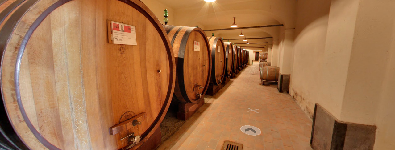 Scopri le nostre cantine! Scopri le nostre cantine!