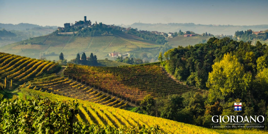 Italia, un viaggio nel cuore del pianeta Vino Italia, un viaggio nel cuore del pianeta Vino