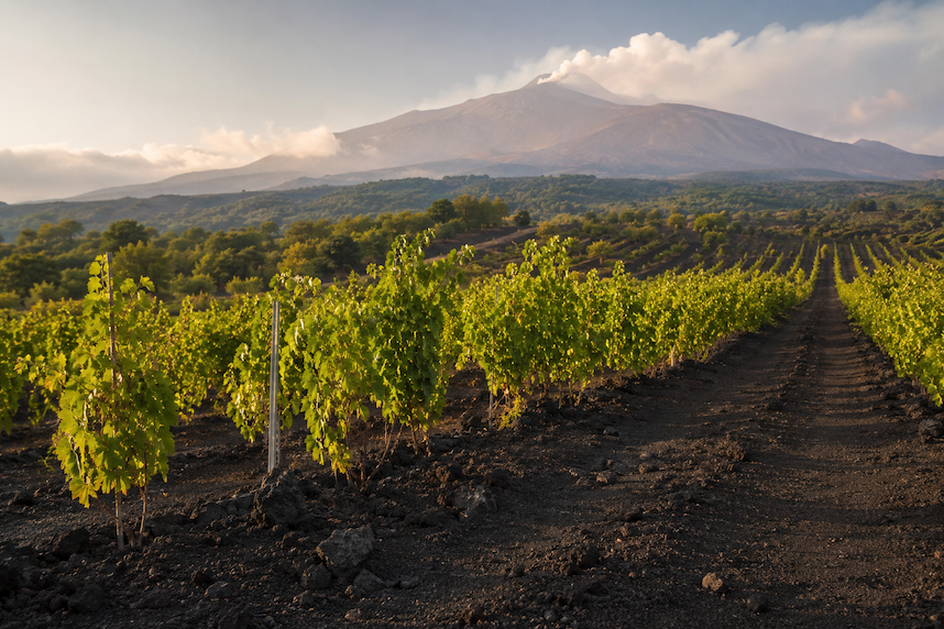 etna rosso vino siciliano