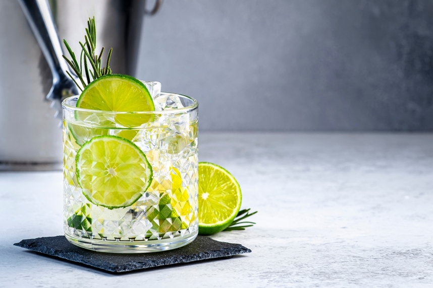 gin da scegliere per cocktail a base di gin