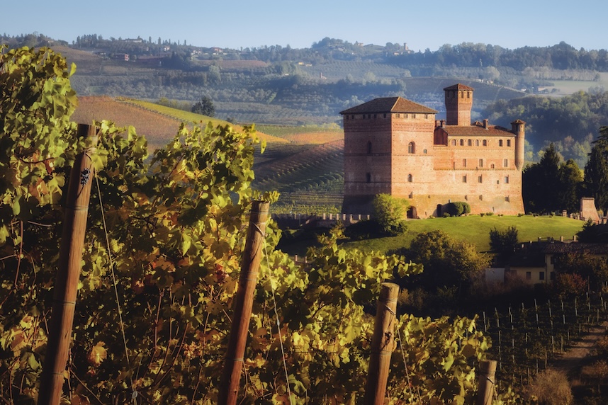 vini bianchi piemontesi zone di produzione